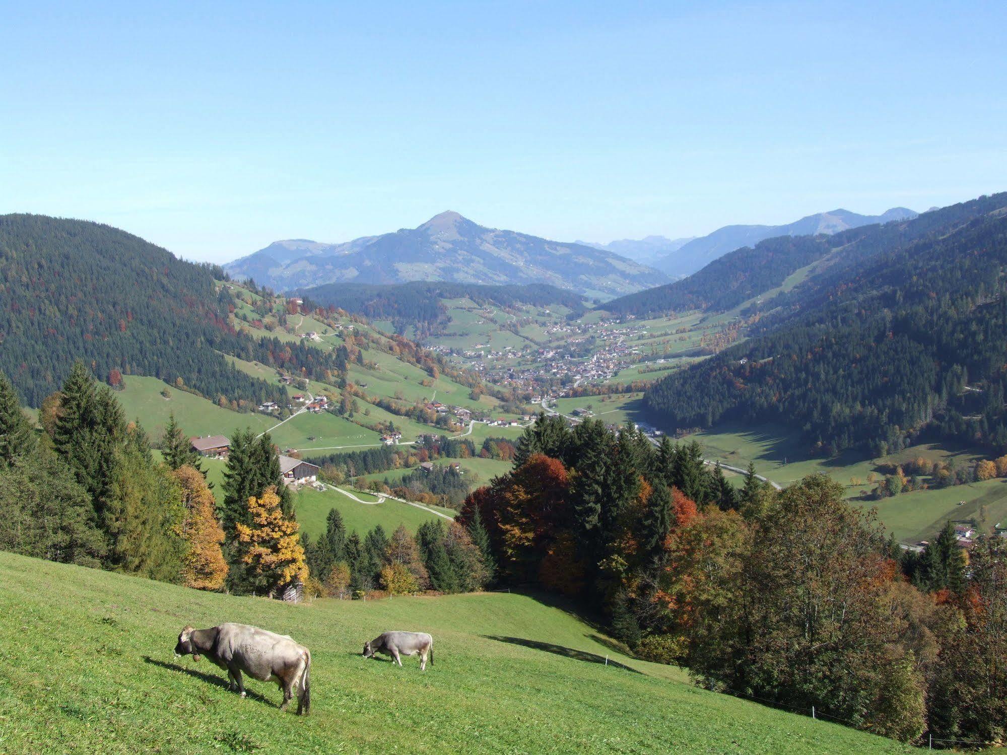 Alpenchalet Almrose Auffach Exteriör bild